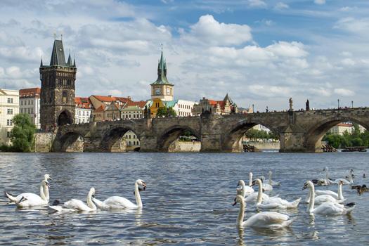 Kampa Park Prague