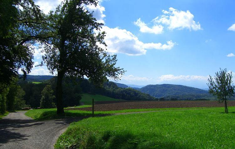 Uetliberg Zurich Planet Trail