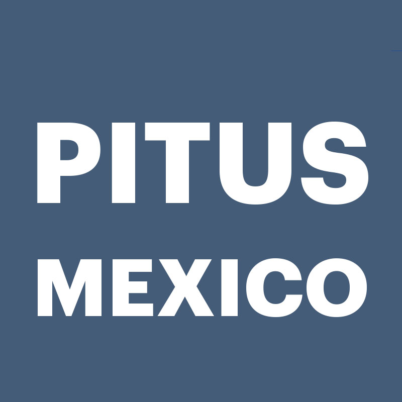 تور مکزیک (Mexico city) - ۱۶ روز - پارسوآ